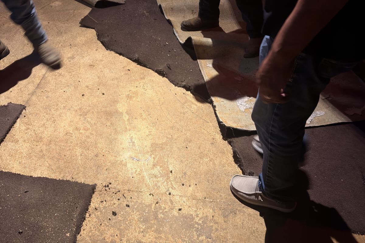 Crew tearing out old carpet down to the bare slab